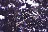 E1885.jpg