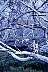 B8588.JPG
